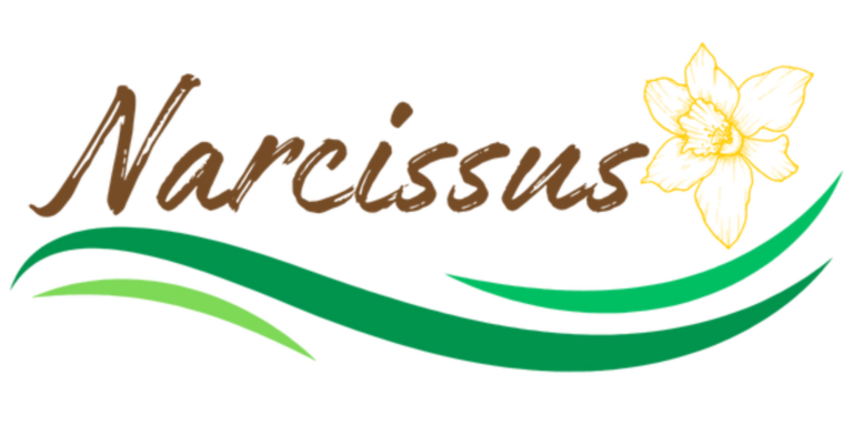 Narcissusができること